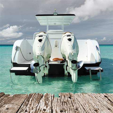 Marine